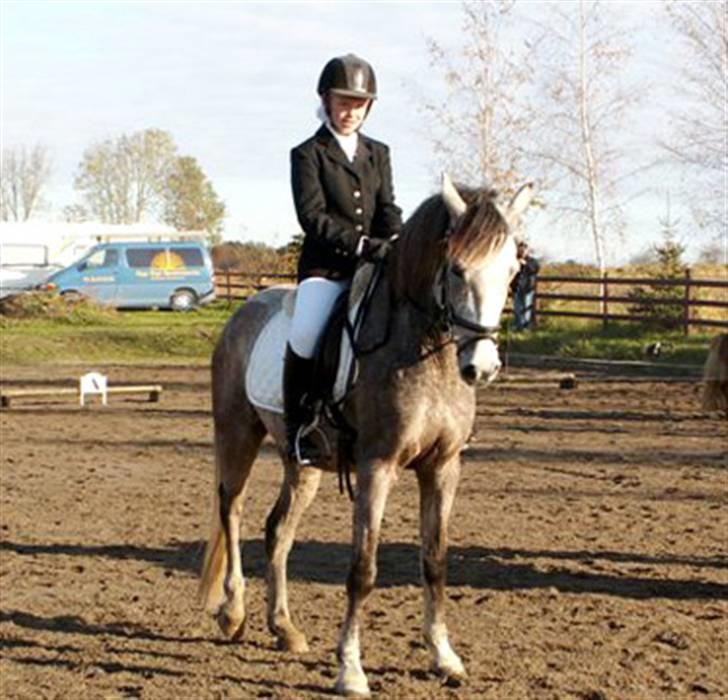 DSP Jock Southfork  billede 3