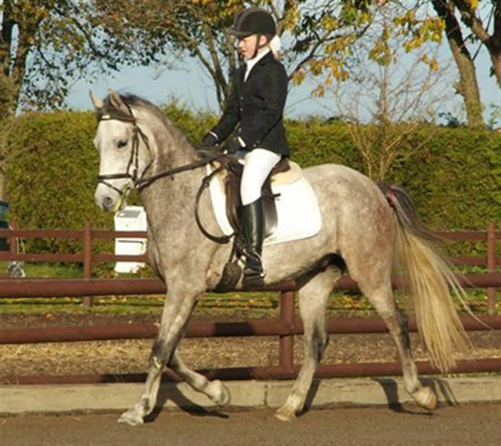 DSP Jock Southfork  billede 5