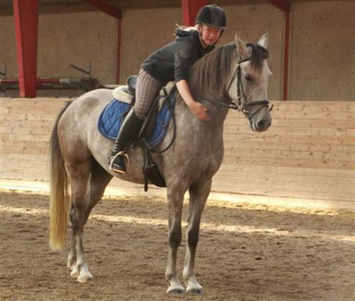 DSP Jock Southfork  billede 8