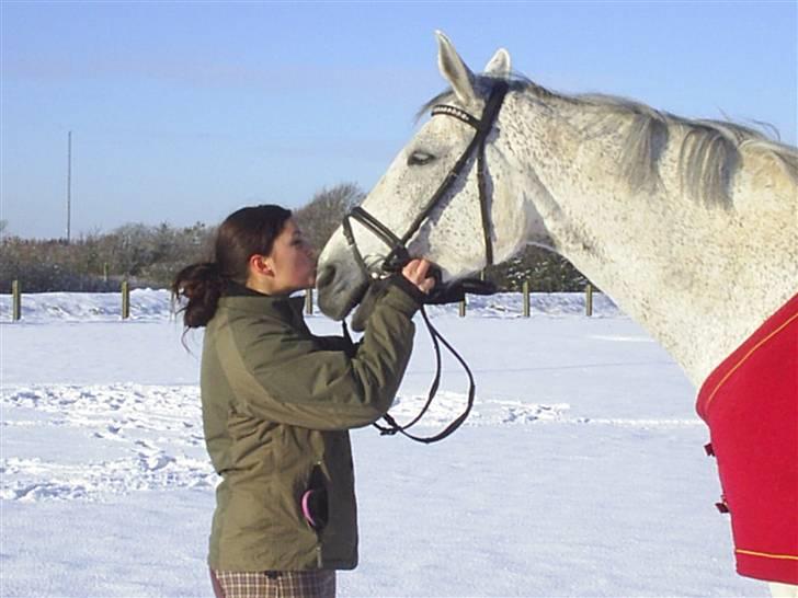 Dansk Varmblod Aglaia (R.I.P  2011) - Vinter 2009 billede 19