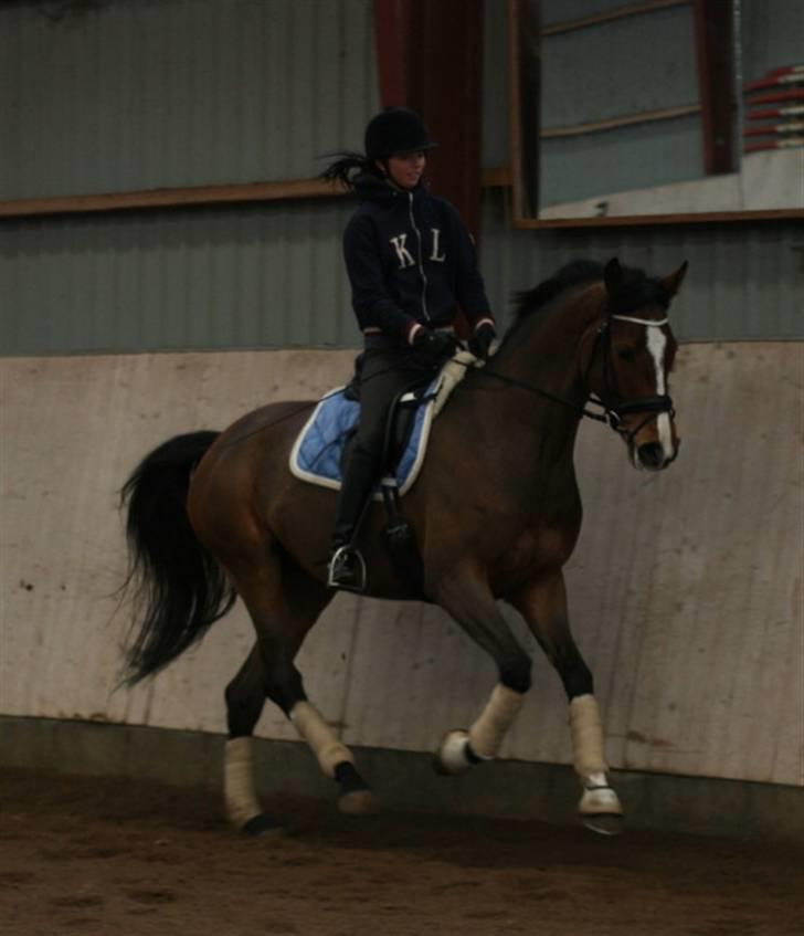 Dansk Varmblod kirks Dibsi - weeeehu,.:b super Dejliq galop . billede 17