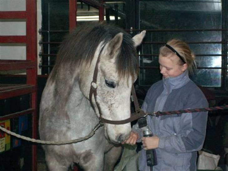 DSP Jock Southfork  billede 10
