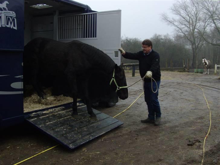 Anden særlig race Micado - Micado ankommer til Enggården billede 2