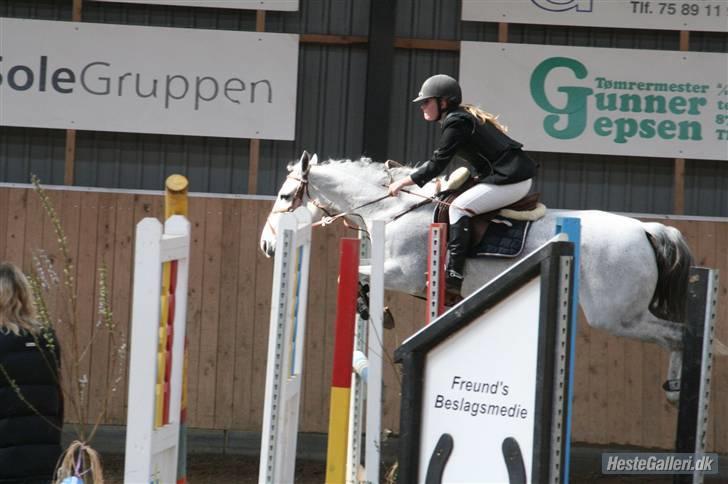 Connemara | Jenny'S Rocket  - Velkommen til Jenny´s profil ;D Højt over springet som altid<3 Foto: Ditte billede 1