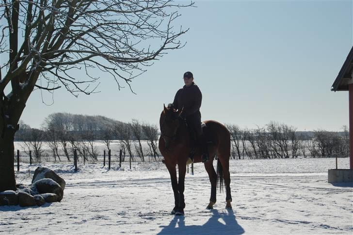 Ungarnsk Varmblod  Justi RIP - Justi og mig i sneen billede 20