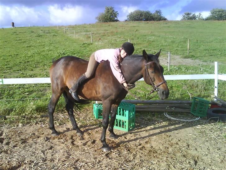 Traver Todo Proud * passet <3 * - 2) billede 2