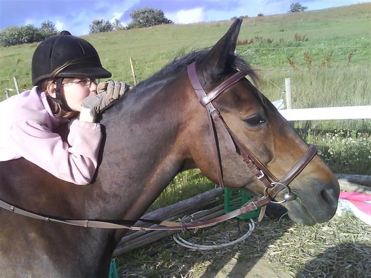 Traver Todo Proud * passet <3 * - 3) billede 3