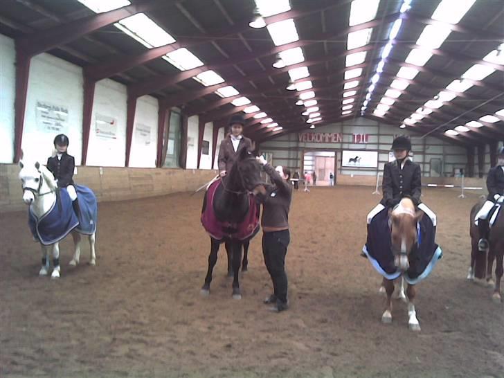 Traver Todo Proud * passet <3 * billede 19