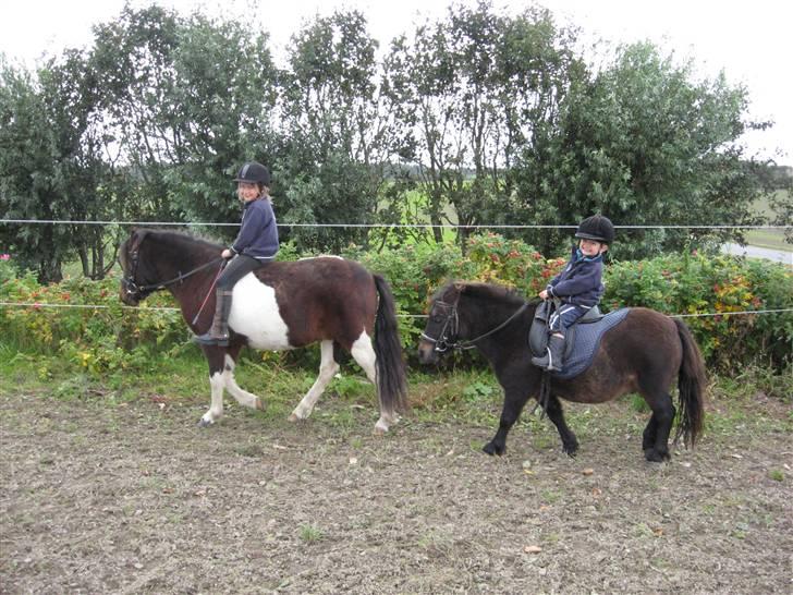 Anden særlig race Spirit * SOLGT * - Efterårstur 2008. Michelle og Spirit sammen med Daniel og Lucas billede 3