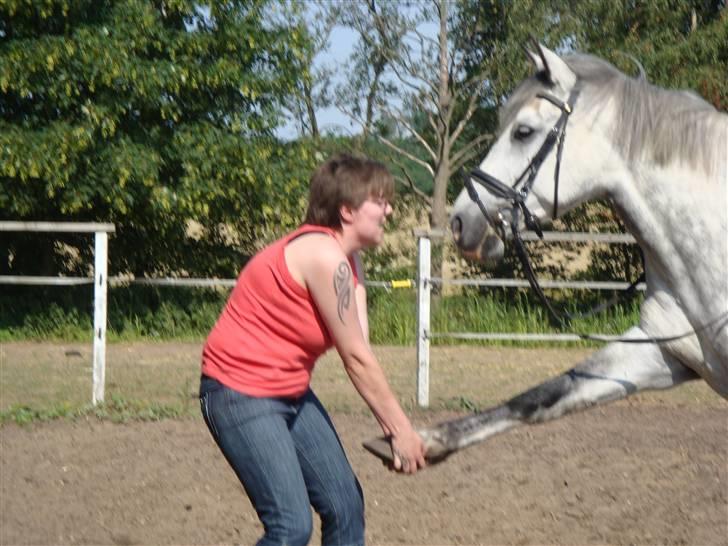 Cruzado Thorsvang´s Don Juan - min mor hjælper mig lige med og strække ben billede 18
