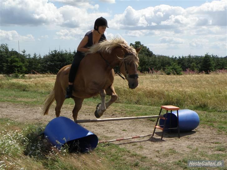 Anden særlig race Cha-Cha - Spring på min dejlige krikke. Fotograf: Anne Siri Snell billede 14