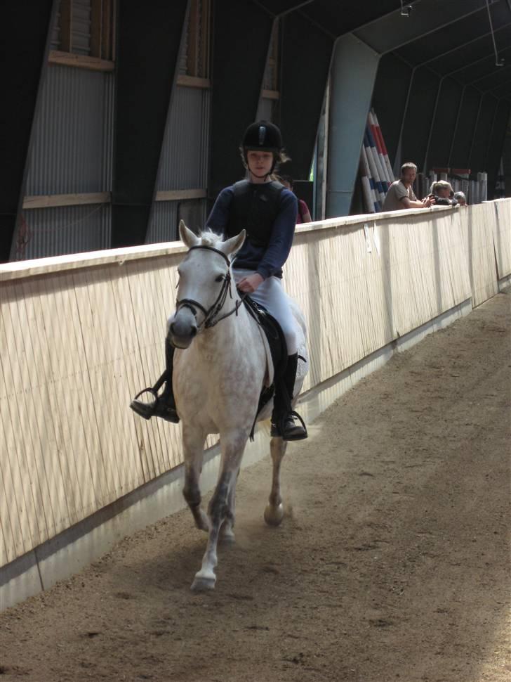 Anden særlig race Cloe´ - Savner dig R.I.P  - Stævne stævne stævne<3 billede 4