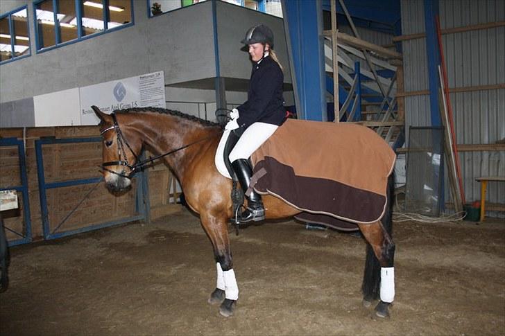 Pinto Laura Af Korup (R.I.P, elskede) :`( billede 3