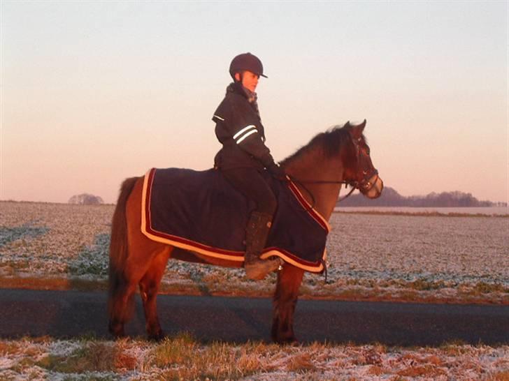 Anden særlig race Tulle (fundet igen)  - Sidste Tur på Tulle som part(foto: mor) billede 7