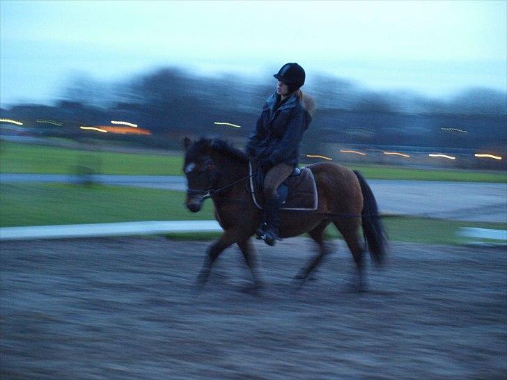 Anden særlig race Tulle (fundet igen)  - Rider på hende for første gang efter hun kom hjem, (foto: signe) billede 10