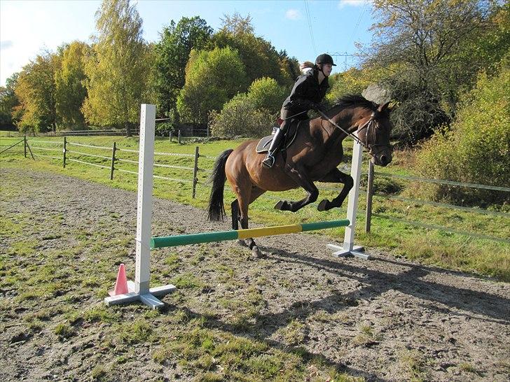 Anden særlig race Rubin<3 - Første gang vi springer efter min rygskade, derfor ikke så højt ;) billede 11