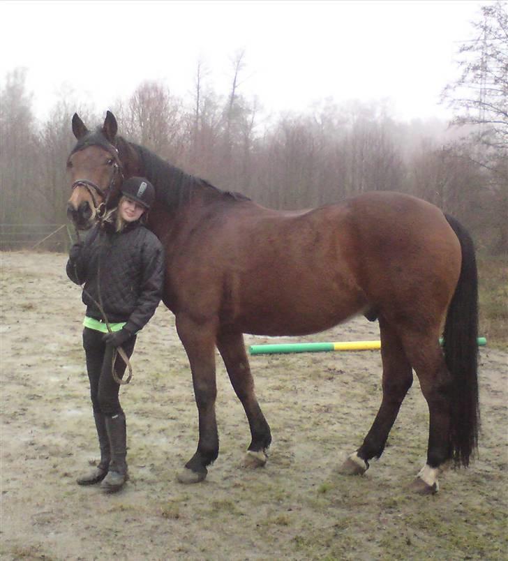 Anden særlig race Rubin<3 - Han er en stooor hest ;P billede 12