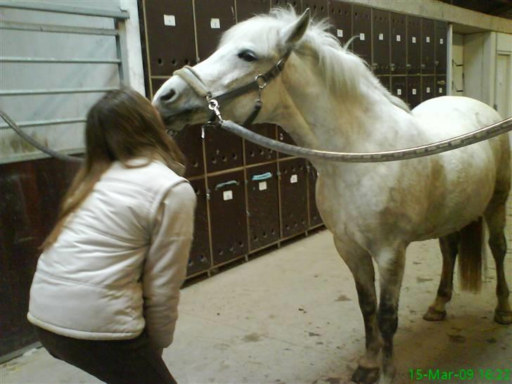 Anden særlig race Cloe´ - Savner dig R.I.P  - Min skattepige <3 billede 9