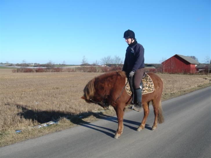 Islænder Mosa (Solgt) - Mosa og jeg d. 14-2-09. Foto : Anitta billede 14