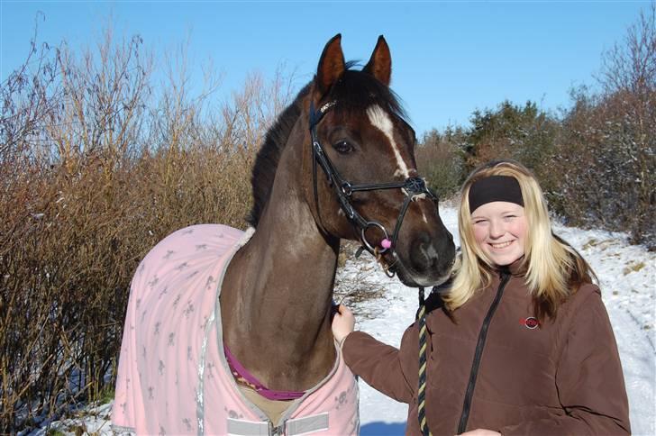 Hollandsk Sportspony Chico<3SAVN:'/ - Jeg elsker dig min sneprins<3 billede 8