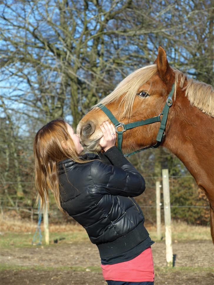 Anden særlig race cha-cha - møs møs.. kys er dejligt billede 13