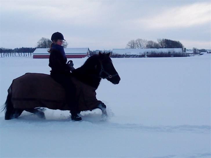 Anden særlig race Alexander<3 - Fordi du stoler på mig!<3 [Foto - Sarah] billede 18