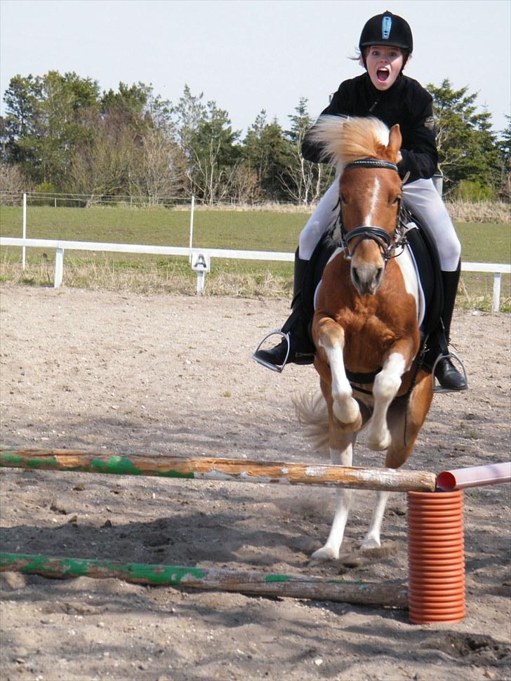 Anden særlig race C-mol  - Jump :D:D billede 2