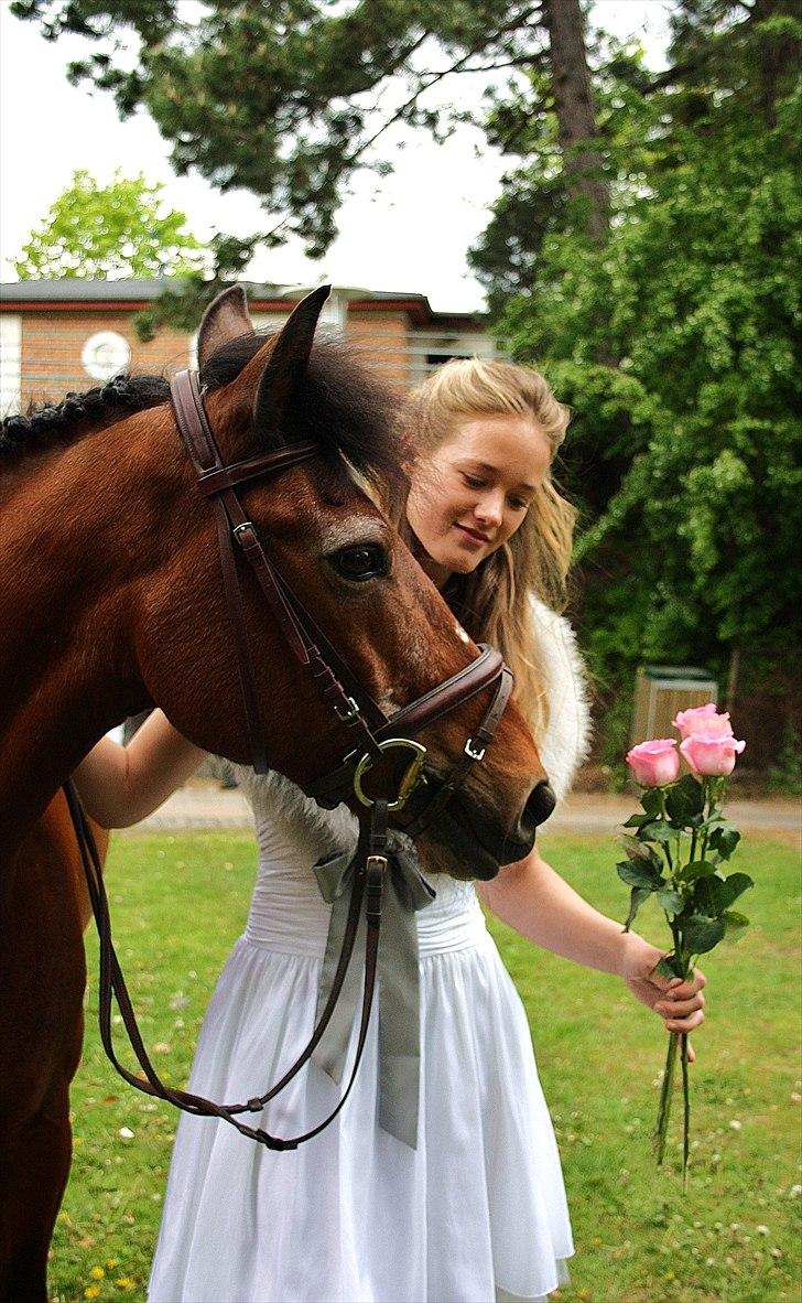 Anden særlig race Bip Bip - DRØMMEPONYEN - If I know what love is, it is because of you. billede 3