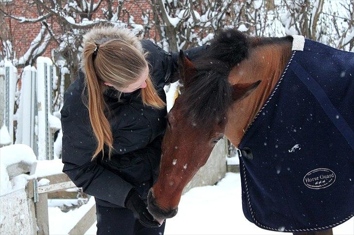 Anden særlig race Bip Bip - DRØMMEPONYEN - Its amazing how you can speak right to my heart, without saying a word, you can light up the dark. billede 5