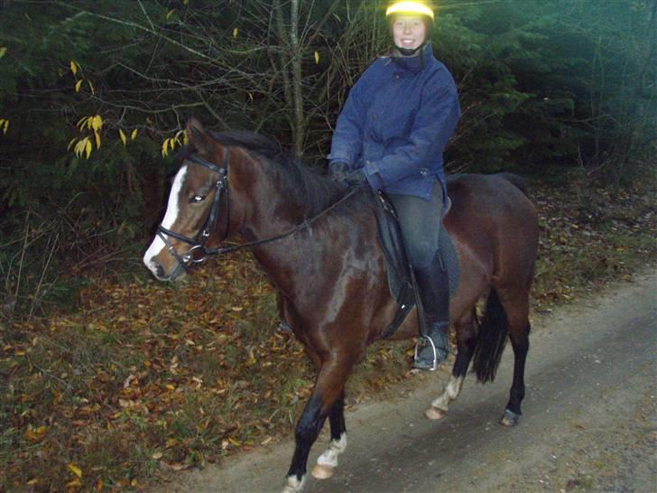 New Forest Vestergårds Silke Solgt - Første tur i naturen på Silke billede 17