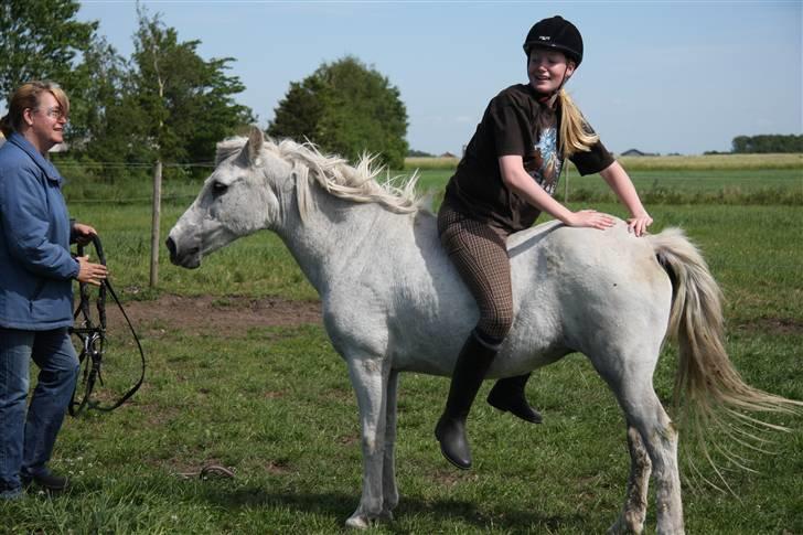 Anden særlig race Misty R.I.P billede 19