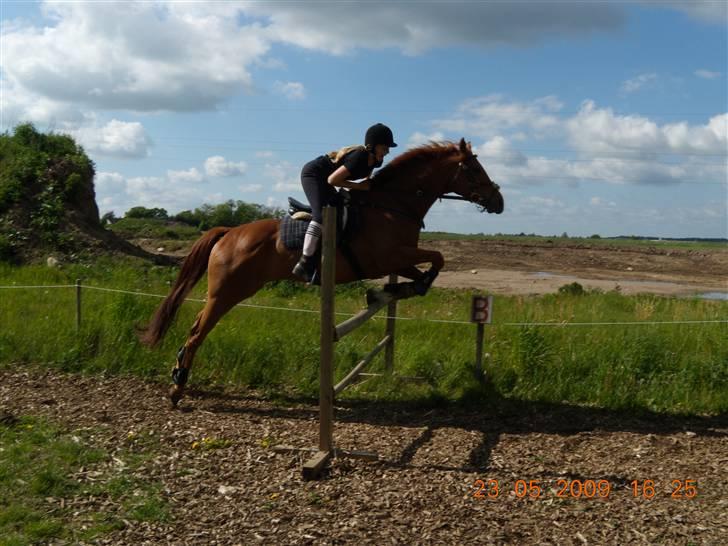 Fuldblod (XX) Don't Hide Me - En dag hvor mig og Julie sprang(: (Fotograf-Anita(Julie´s Mor) billede 8