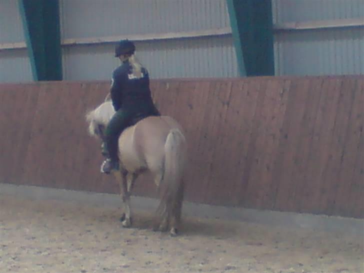 Islænder Thor fra Fagereng - Mig og Thor billede 18