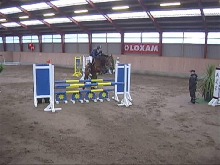 Anden særlig race Aktiv Junior (Lånehest) - LB i AAGS C-stæve forår 09 billede 8