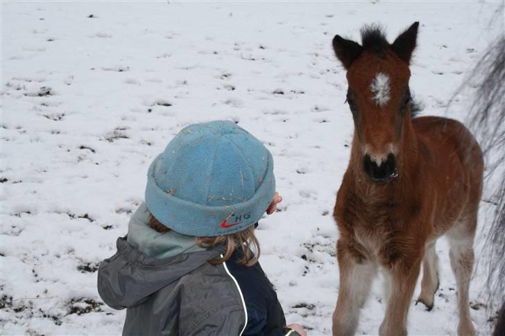 Anden særlig race Dina - fremtiders mester? billede 10