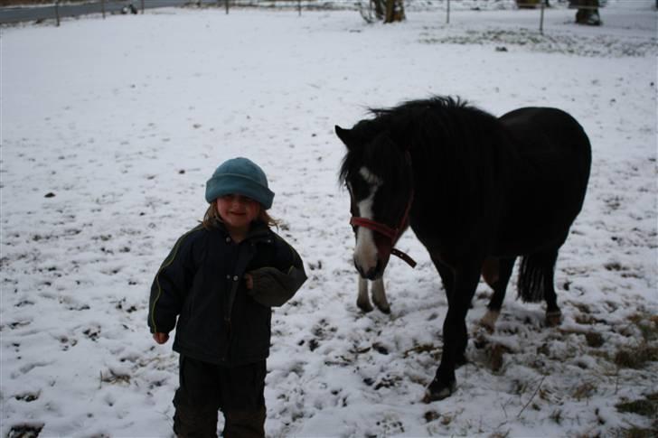 Anden særlig race Dina - nu skal vi in, det er kold udenfor billede 11