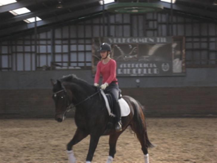 Anden særlig race Vicki - Da jeg var ovre og prøve Prinsessen inden vi købte hende. billede 2