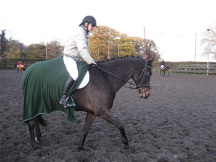 Anden særlig race Vicki - På opvarmningsbanen til vores første stævne. Jeg sider totalt grimt. billede 5