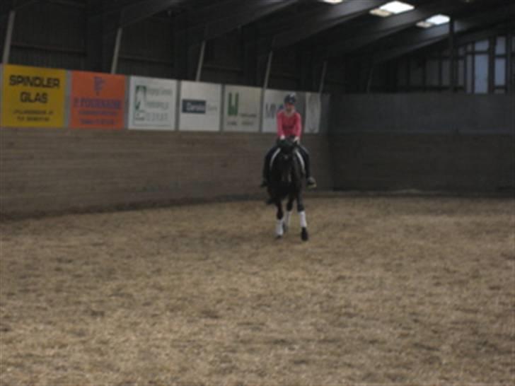 Anden særlig race Vicki - Øgning skrådt igennem. billede 6