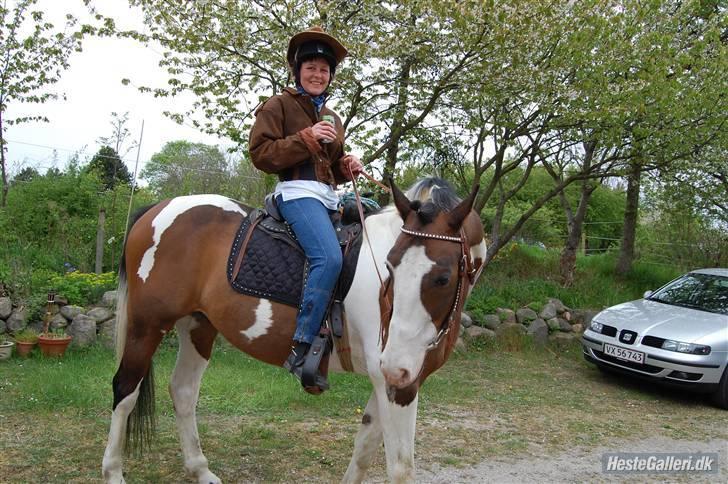 Pinto | Iszpan. - Velkommen til Iszpans profil, Læg  gerne en kommentar inden du går :) Foto: Km foto billede 2