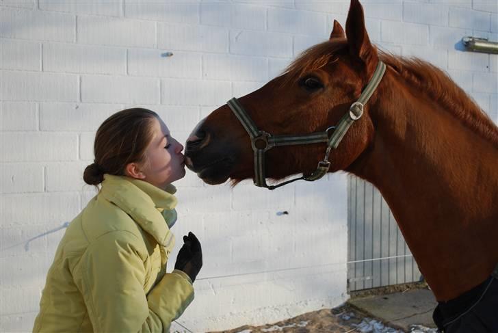 Anden særlig race Oliver - Mys mys, elsker dig <3 billede 14