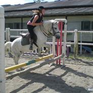 Anden særlig race Snea 