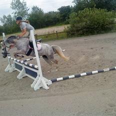 Anden særlig race Honey. SOLGT. <3