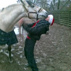 Anden særlig race Jolly Jumper 'Solgt'