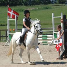 Welsh Mountain (sec A) Crowns Happy Moon