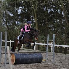 Anden særlig race Farmens Asterix