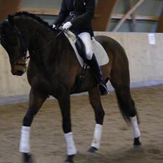 Fuldblod (XX) My Topaz xx