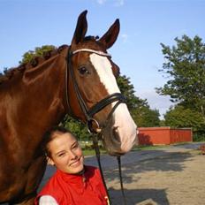 Dansk Varmblod Agersbøls Smilla