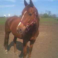 Oldenborg Fabrina ' Min mors