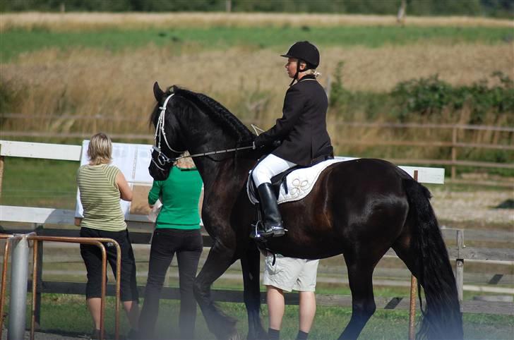 Frieser Diablo - tjekker placeringer i LD - 09 billede 9
